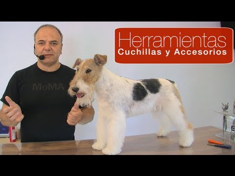 Peluquería canina. ¿Qué es el hand stripping?