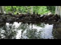 channel