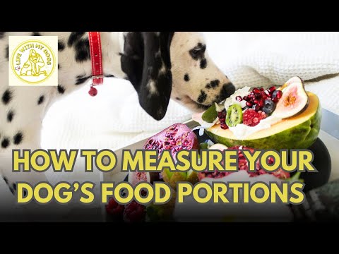 How to Measure Your Dog's Food Portions