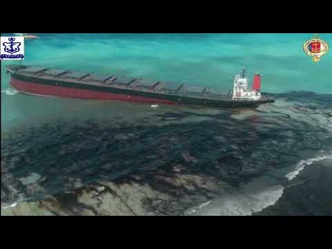 BARRACUDA XI PROMO ENG