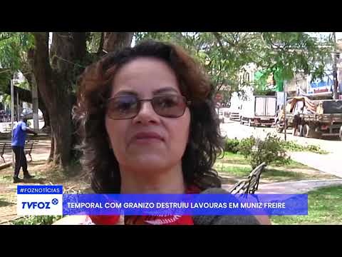 Temporal com granizo destruiu lavouras em Muniz Freire