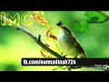 সুরা আল ইয়াছিন এবং সুরা আর রহমান সু ম�