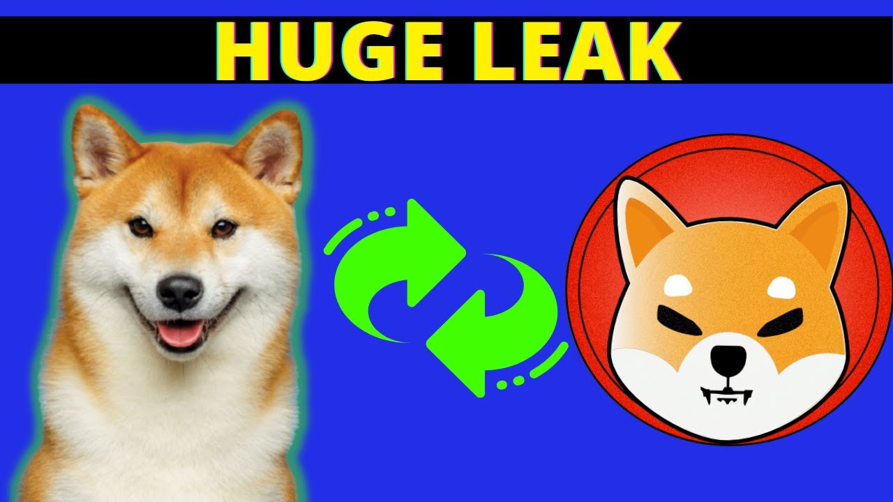 MASSIVE Leak Could Change SHIBA INU COIN… Forever!