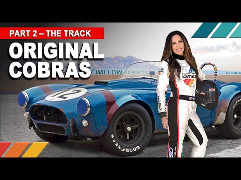 ORIGINAL COBRAS: One-of-Five 1964 FIA Shelby Cobra 289 Authentic Racecar | EP25