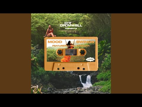 Video thumbnail for Mood Swings