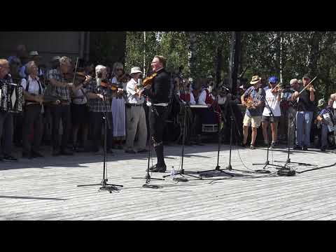 Fiolen min av Jon Erik Öst