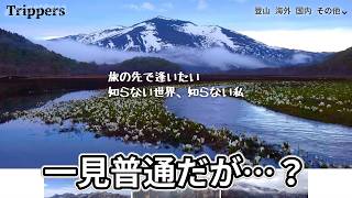 一見普通だけど怪異が潜んでいるらしいサイト【Trippers.info】