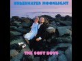 The Soft Boys - Positive Vibrations