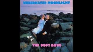 The Soft Boys - Positive Vibrations