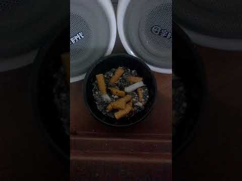 OZE - GNG - ÇAVUŞ !