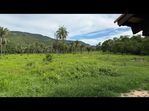 237 alqueires Goianos ou 1.147 hect. em Jaú do Tocantins - $ 35.000,00 por alq. (62) 9 8623-3788 