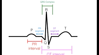 EKG/ECG Interpretation