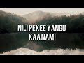 KAA NAMI BY ANGELA CHIBALONZA ( OFFICIAL LYRIC VIDEO)