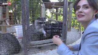 Точка на карте: Южный парк птиц «Малинки»