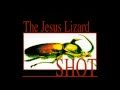 The Jesus Lizard - More Beautiful Than Barbie