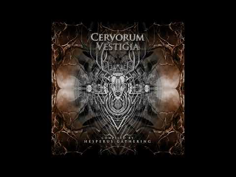 Involved Mind - Don't Push (190 BPM)