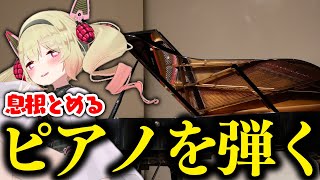 ピアノを演奏する息根とめる(デモ)【#深層組切り抜き 】