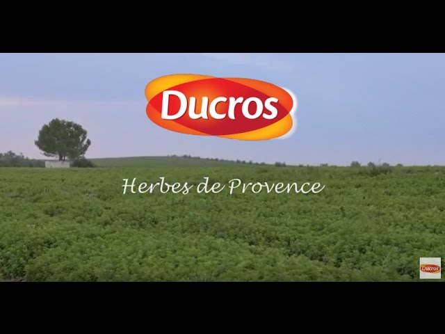 Vídeo relacionado con Ducros Hierbas De Provence 100 g Bolsa (3 unidades)