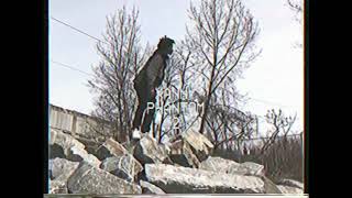 Xanny Phantom Music Video
