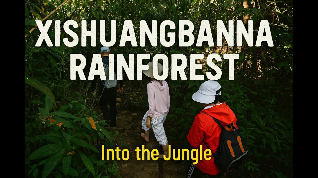 4K · First Time Hiking Through a Rainforest! | Epic Jungle Adventure