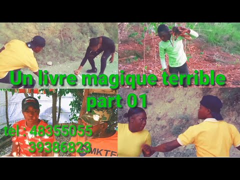 Un livre magique terrible #01
