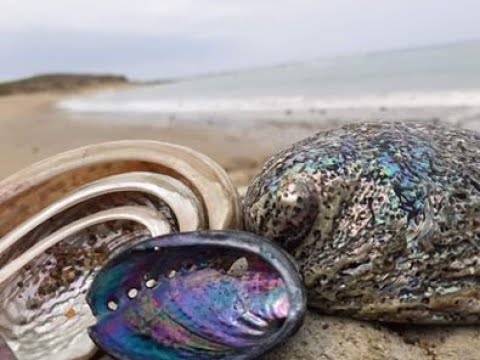 PISCES WEEKLY VLOG 29TH JUNE TILL 5TH JULY 2020/LET GO AND GO WITH THE FLOW! ENJOY!