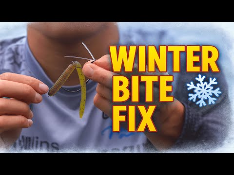 Winter Bass Won’t Bite? Try This Neko Rig Setup | Bass Fishing