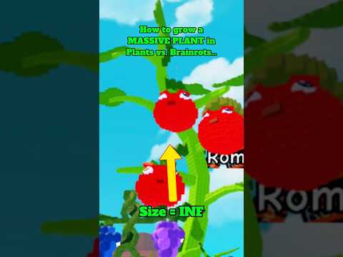 How to grow a MASSIVE PLANT in Plants vs. Brainrots… #roblox #plantsvsbrainrots #viral #subscribe