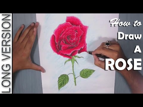 Rose Painting | How to Paint A Red Rose with Oil Pastel Video