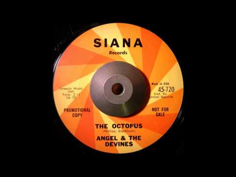 Angel & The Devines - The Octopus