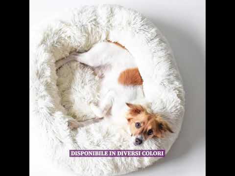 1 o 2 camas para mascotas - Second Medium