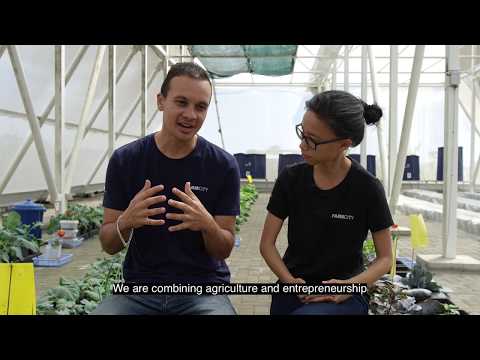 Support 150 Mauritian Youth Agripreneurs