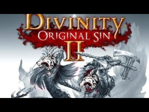 Lone Wolf, Bro Wolves Ep.20 "Stealing Driftwood and Arena Goals" Divinity Original Sin 2 Playthrough