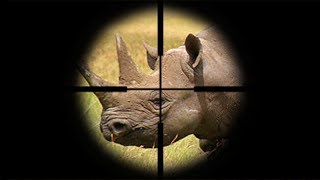 Shooting a species to save it