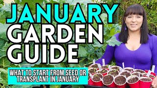 January Garden Guide: What To Start From Seed Or Plant NOW #garden #gardeningtips #vegetablegarden