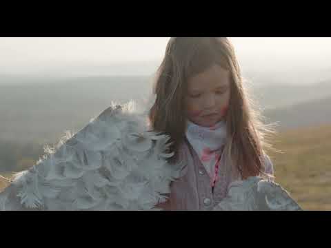 Freeborn Brothers - Walk to the Moon (Official Video 2019)