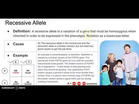 Foundations of Genetics