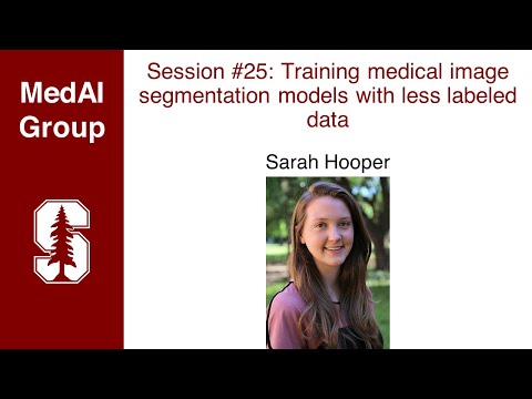 MedAI Session 25: Training medical image segmentation models with less labeled data | Sarah Hooper