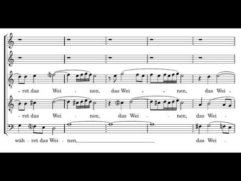 Schein: Ihr Heiligen lobsinget dem Herren - Herreweghe