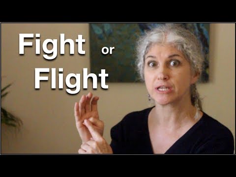 Dan Siegel's Hand Model of the Brain, Flip Your Lid