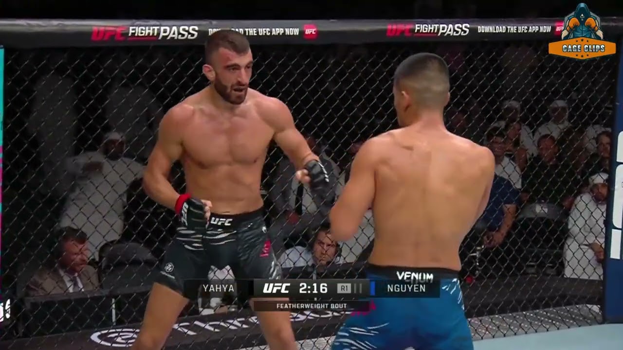 Yahya VS Nguyen #ufc