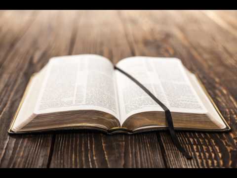 Bibel Johannes - Kapitel 15, Hörbuch