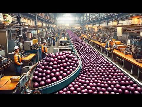 How Farmers Harvest Acai Berry: Amazon Gold Berry - Acai Processing Factory | Farming Documentary