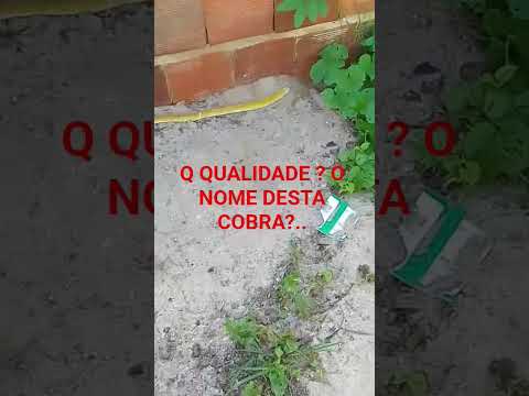 Eu já disse o nome aí é nas pugas.. Em Marco CE..