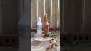 Download lagu Fanta Coca Cola sprite and mentos | Coca Cola fanta sprite pepsi vs mantis #shorts #shortsvideo#asmr mp3
