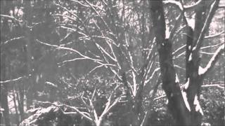 Winter Wonderland - Clay Aiken