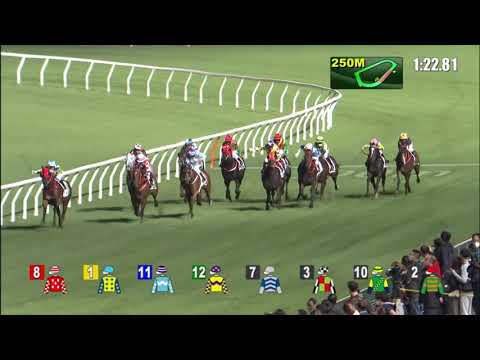 24/11/2021 (198) Yee Cheong Warrior - Z Purton