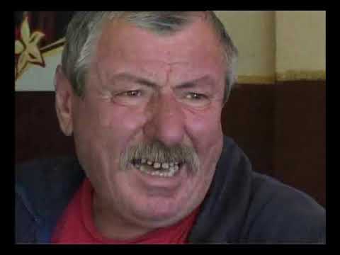 Navetistul Banatean - Fibis