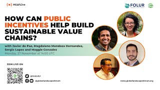 ¿Cómo contribuyen los incentivos públicos a la creación de cadenas de valor sostenibles?