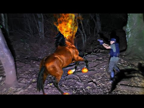 FINALLY THE HEADLESS MULE WAS FILMED UP CLOSE